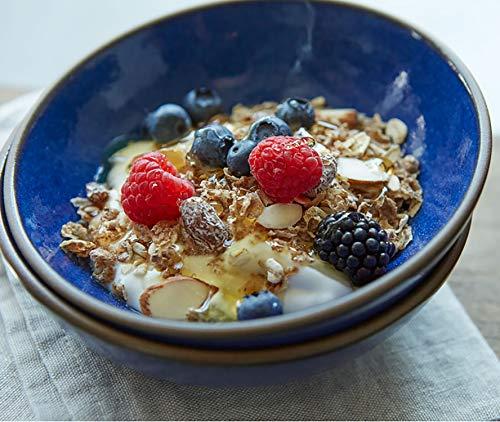 Alpen Swiss Style Muesli Cereal No Sugar Added 14 oz