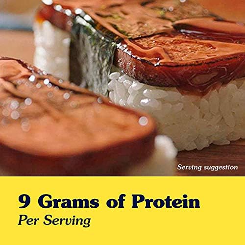 SPAM Single Pouch, 2.5 Ounce (12 Pack)