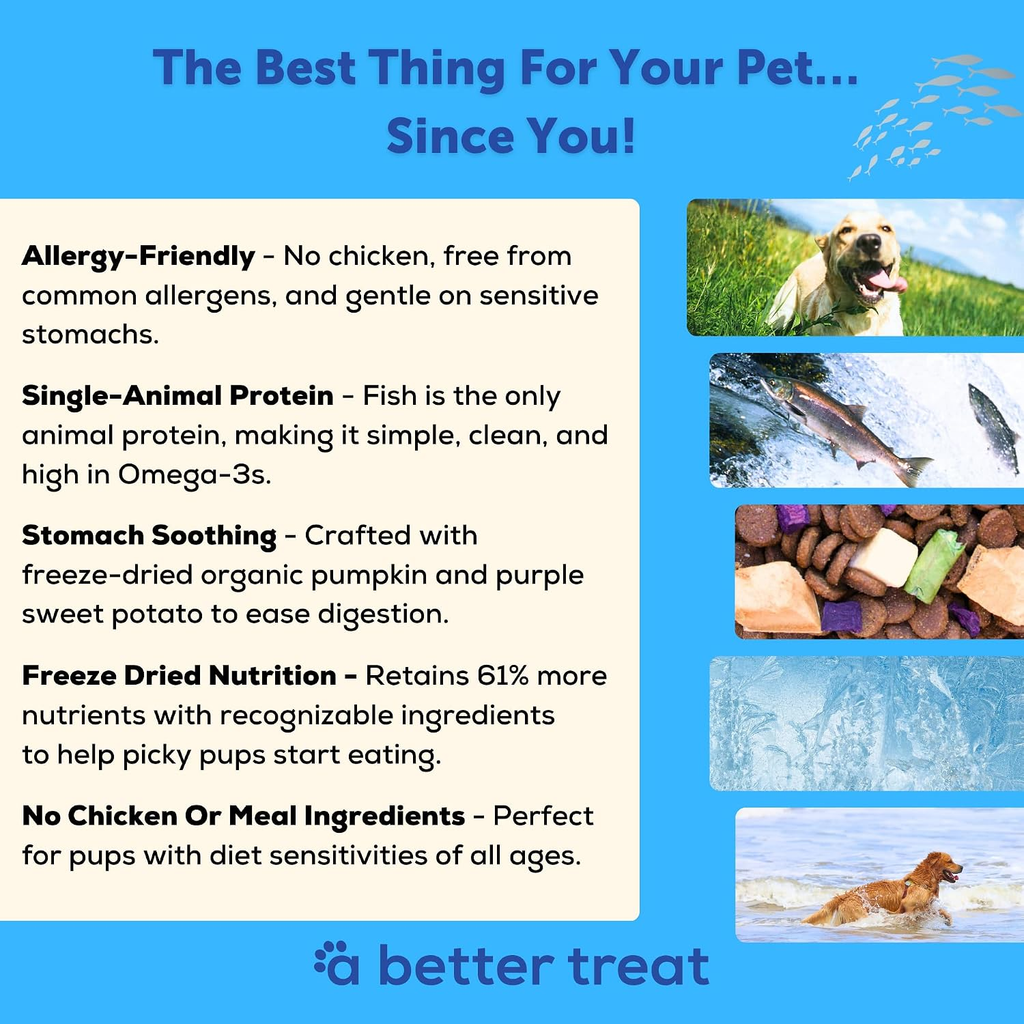 A Better Dog Food/ Fish Recipe 3 Pound