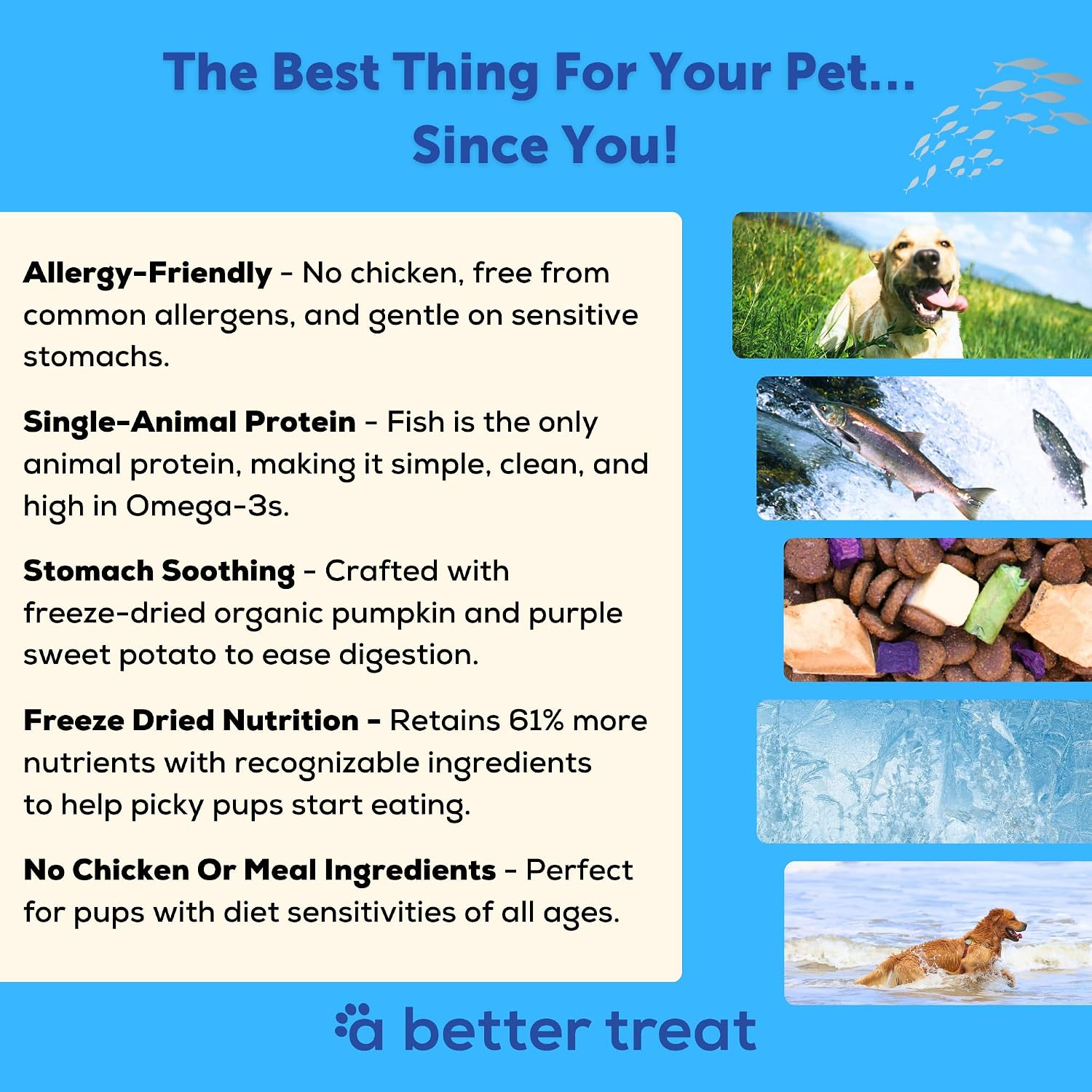 A Better Dog Food/ Fish Recipe 3 Pound