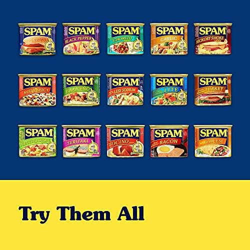 SPAM Single Pouch, 2.5 Ounce (12 Pack)
