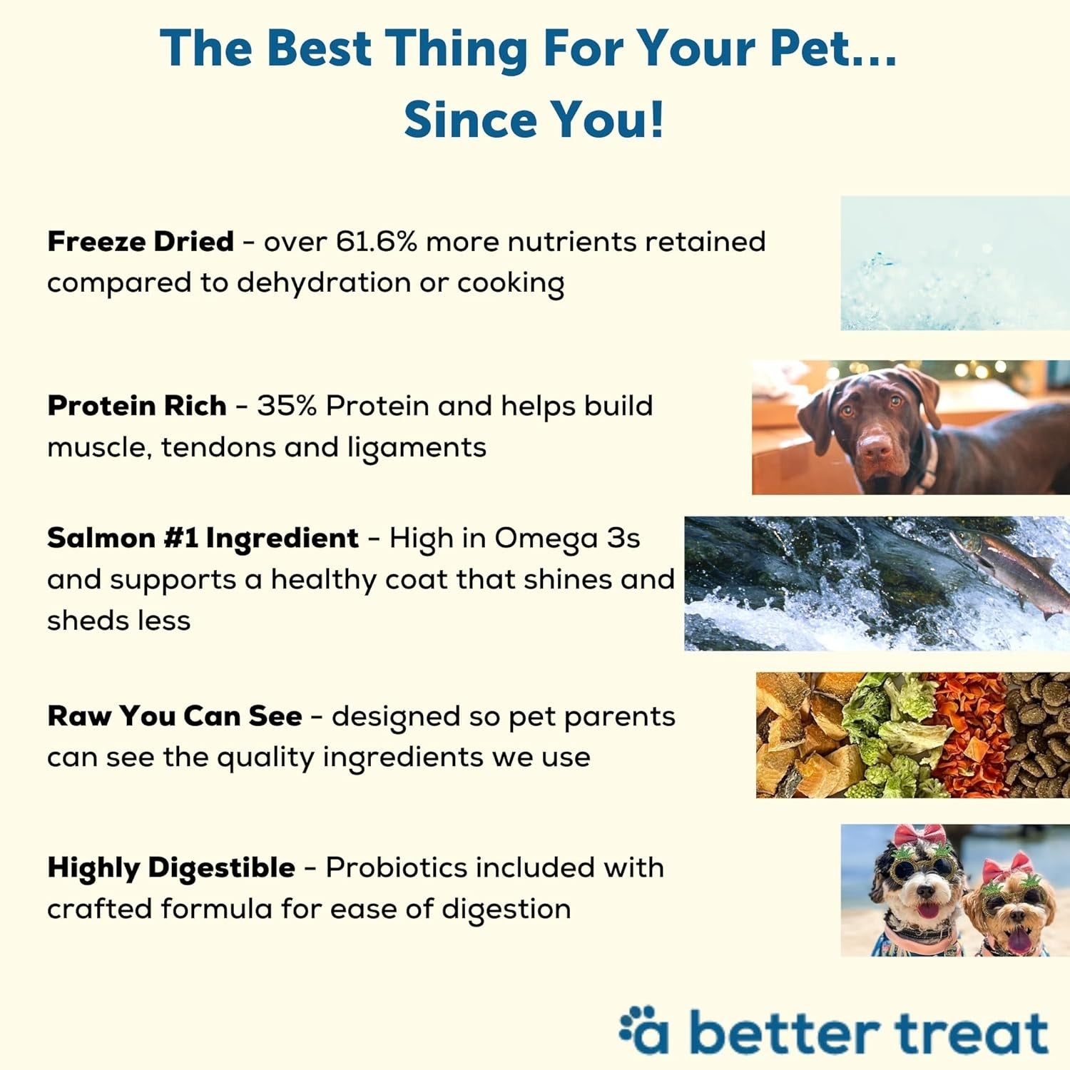 A Better Dog Food Alaskan Salmon 3lb